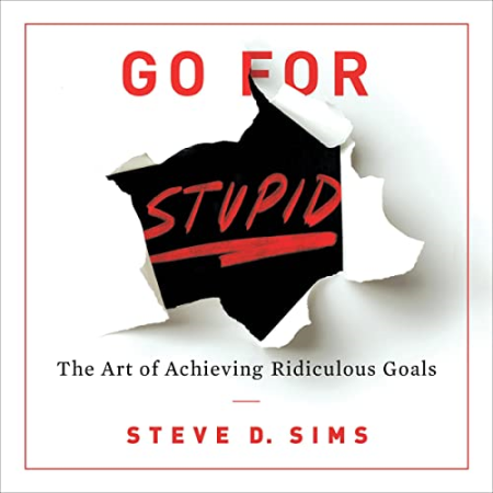 Go for Stupid: The Art of Achieving Ridiculous Goals