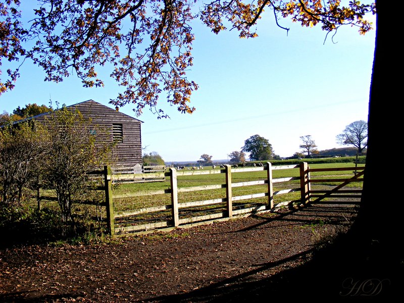 autumn-Farm-HD.jpg