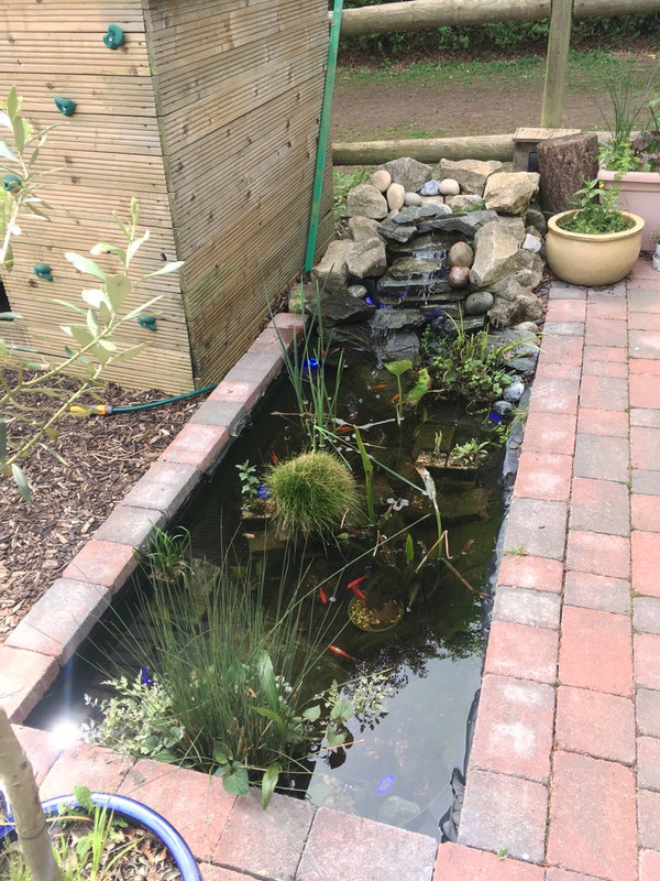 7EDFF335-80C0-4022-BA06-01E12BA24A12_1_105_c