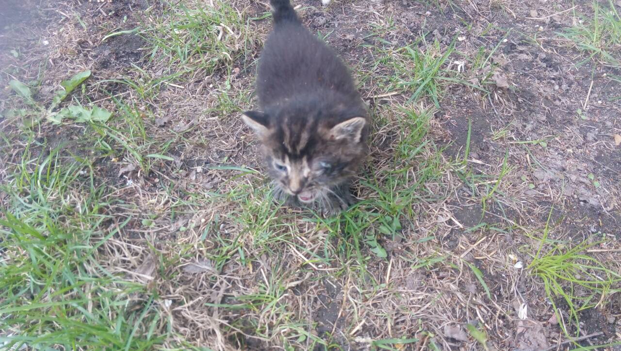 8013D6D7-FC6B-4A1F-B5BE-B4659A212E09