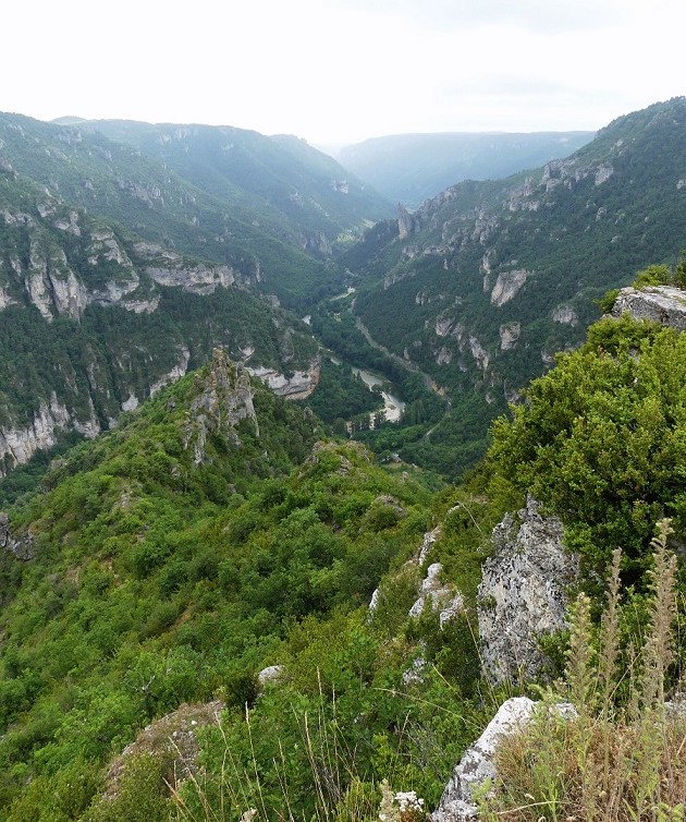 P1090181.jpg