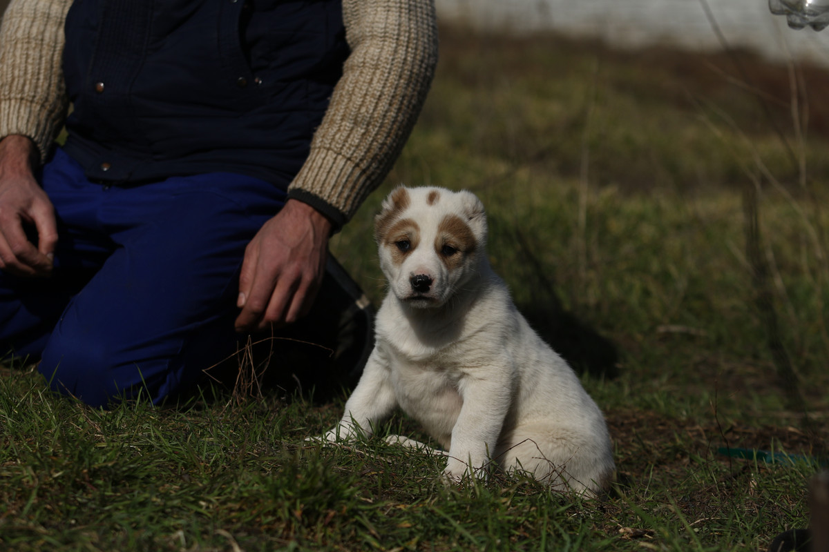 88DFBB67-A5CD-4D60-AD13-2D49291B9D30