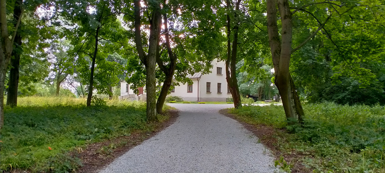 007 - IMG20210710162728