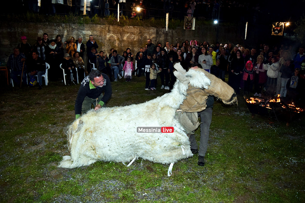 ελαιοχωριDSC_0675