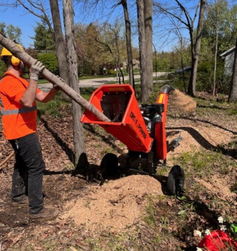 Tree Service Fort Wayne 