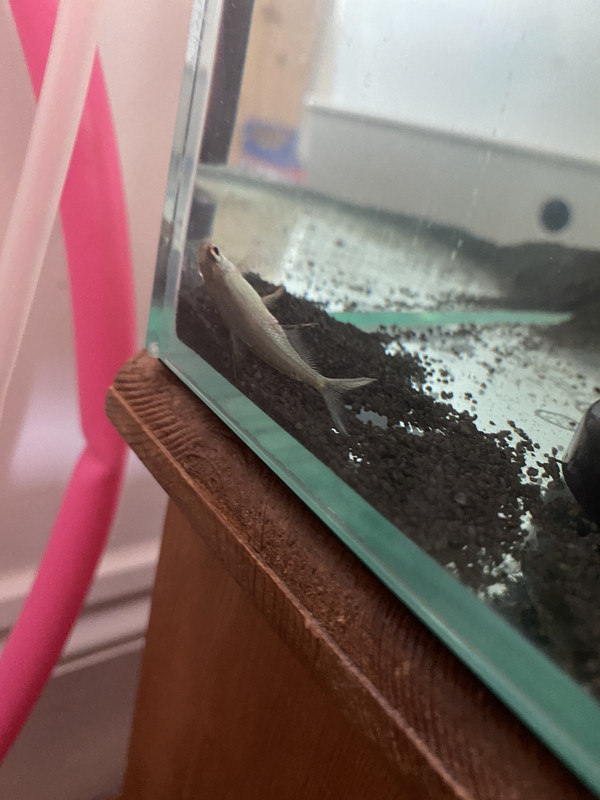 C1E73B10-2630-4C7E-8FBC-1E02F6EE7722