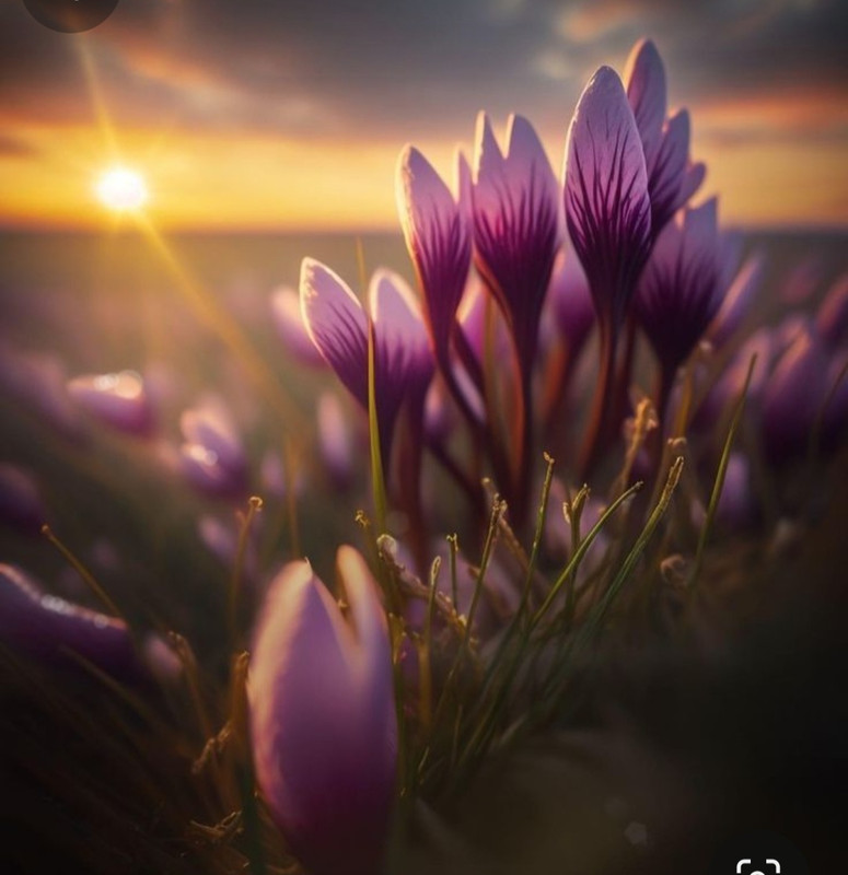 Screenshot_20240521_201050_Pinterest