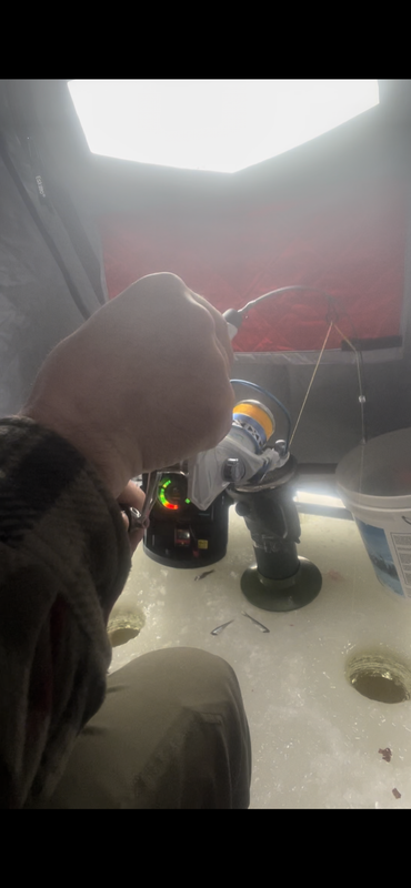 93F5E139-5683-43E0-8A15-EB6A61C687C3