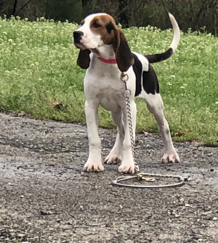 148F8B64-6676-4DE2-A40A-FC68AF5F60BD