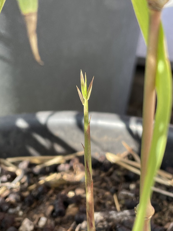 1EAD61FA-62EF-489D-A6BB-CBBED487E139