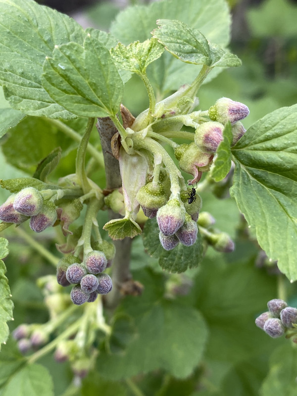 4992B052-6FBC-4E05-A824-BDD0AA0F8829