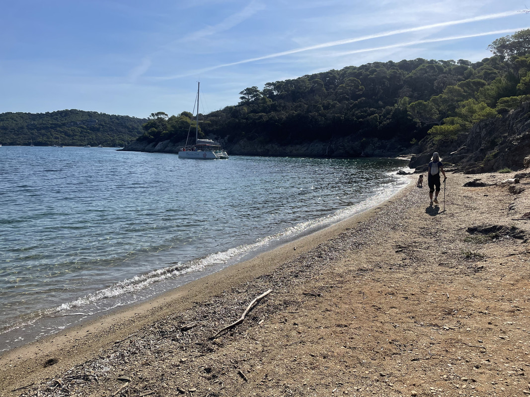 943D073A-8419-4C0C-BE72-769A353419D2