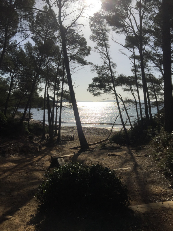 00251254-039B-4905-B13D-734B58782A78