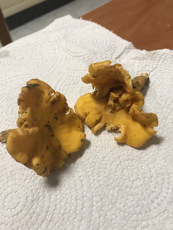 AD12E784-E812-474F-A6F5-F8FCED3E395C