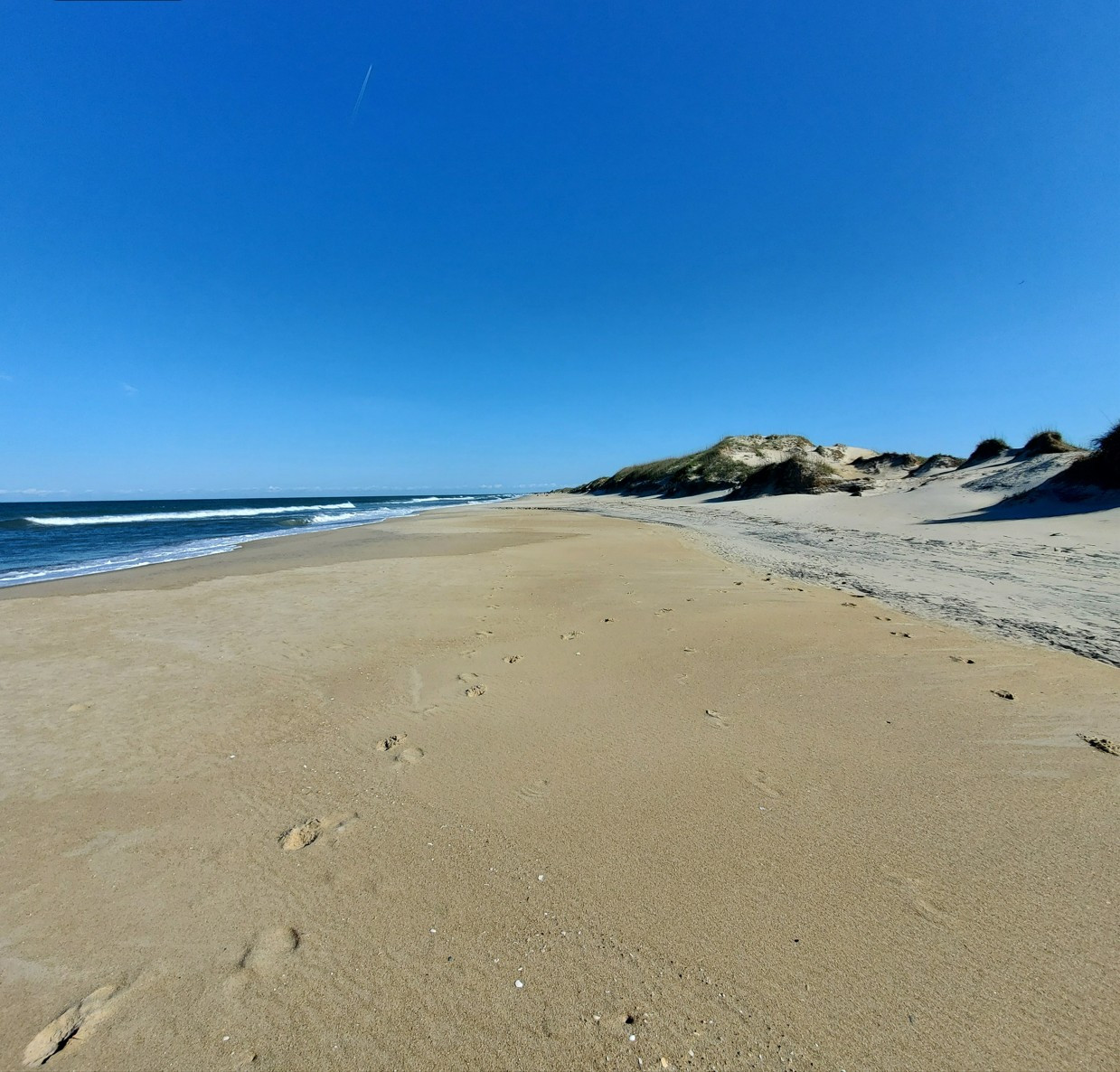 [Image: NC20260516172116Obx.jpg]