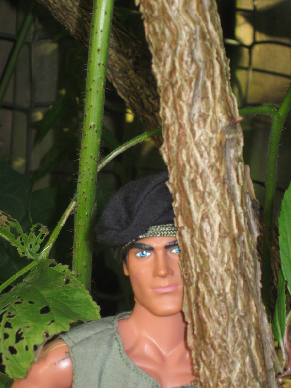 My Action Man posing in the garden    (Ackie88) IMG-1004