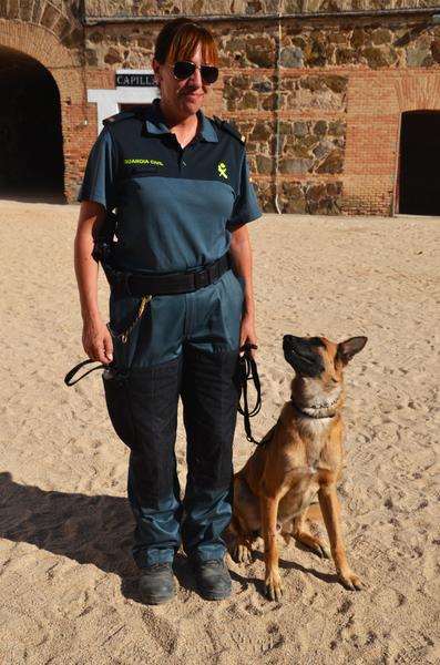 Exhibición Guardia Civil-30-9-2016 - Toledo y sus pueblos-1996/2026 (12)