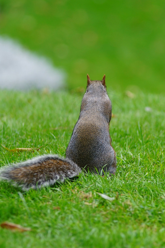 DSC00071-2.jpg