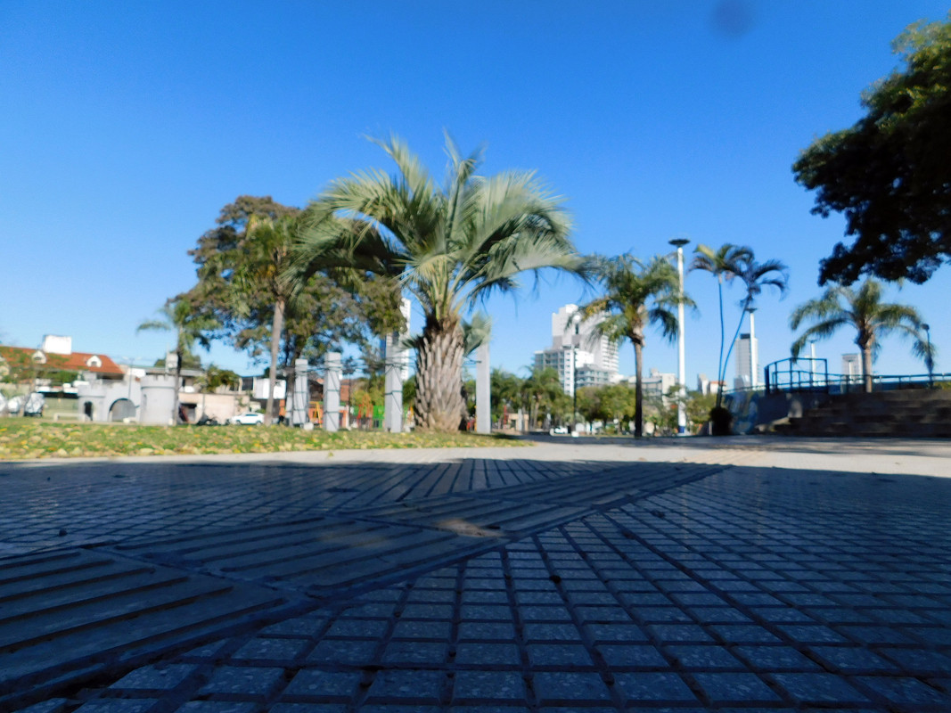 DSCN0175.jpg
