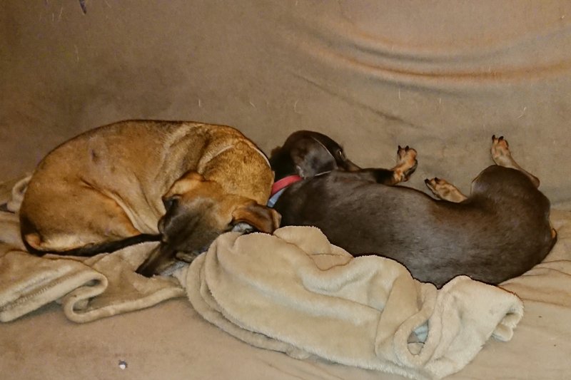 [Image: DSC-3604.jpg]