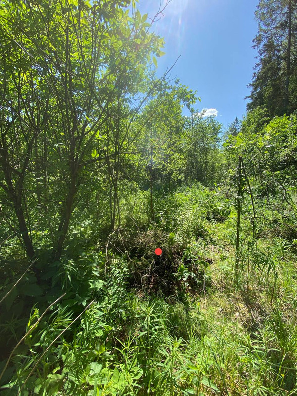 02BF6FF1 6666 4F96 8C51 BF6602903FDF