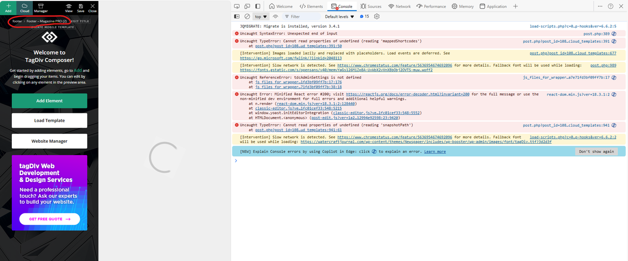 2 newspaper theme error