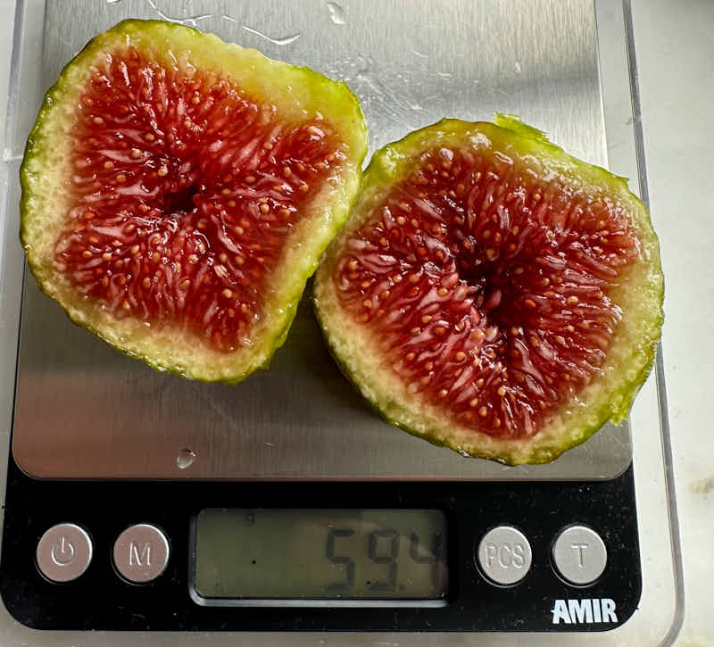 figs-880.jpg