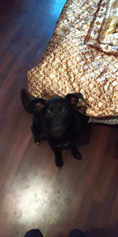 FD797086-4475-4C7E-8996-346981A36021