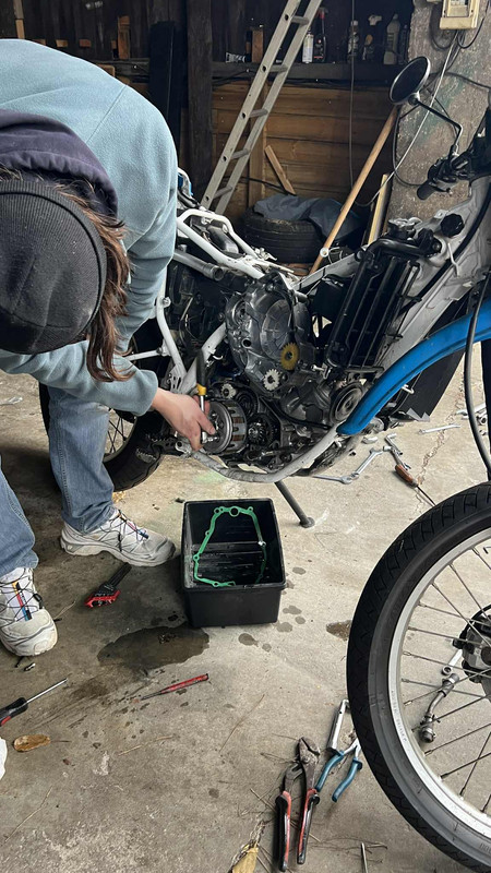 a55f088b 45bd 4fd0 b42b 598057a299ca