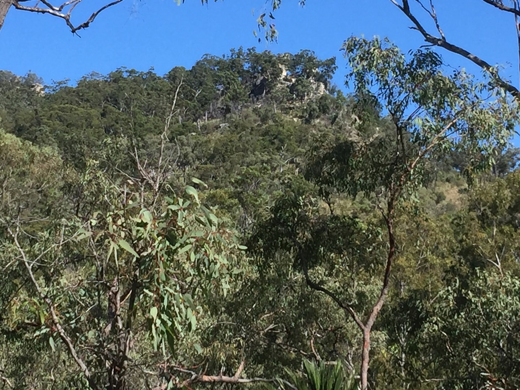 2022 (Jun) - Central Nth Qld Solo Trip (Barakula SF & Expedition NP ...