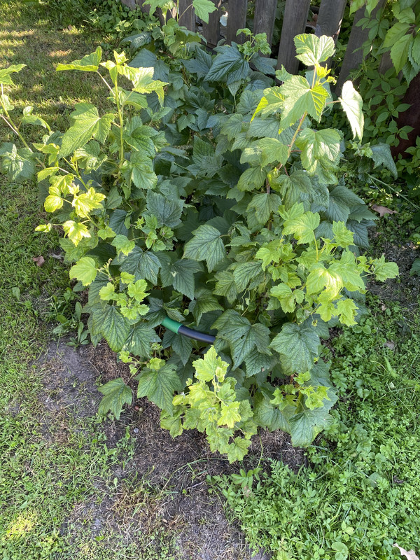 F40BEB1C-A003-4009-BC9D-324984BB6463