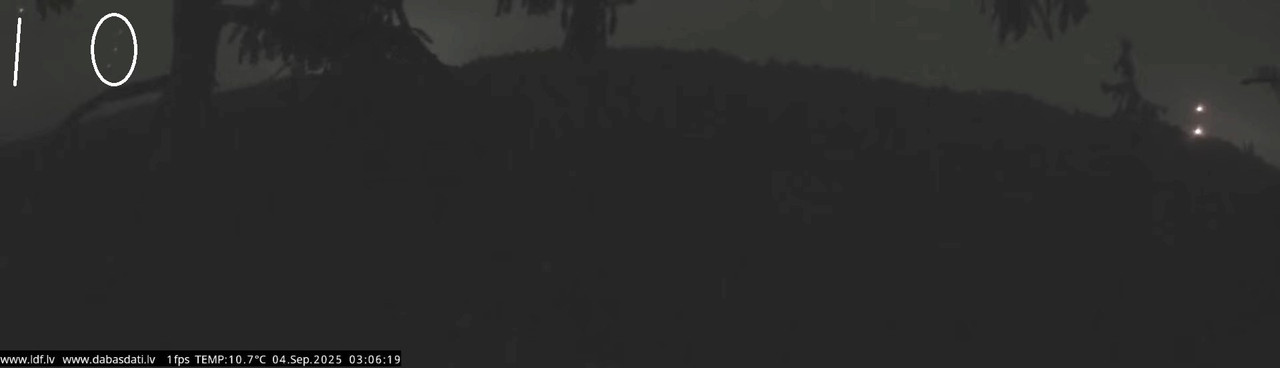 Jūras ērgļi (Haliaeetus albicilla) Durbē 9-45-34 screenshot