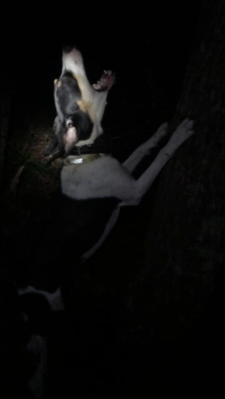 E8AE5F63-9B16-40A1-A514-71022E93BE53