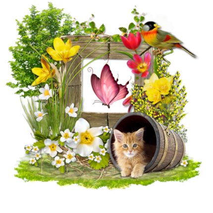 oie-28114118ZDBegl-Jr