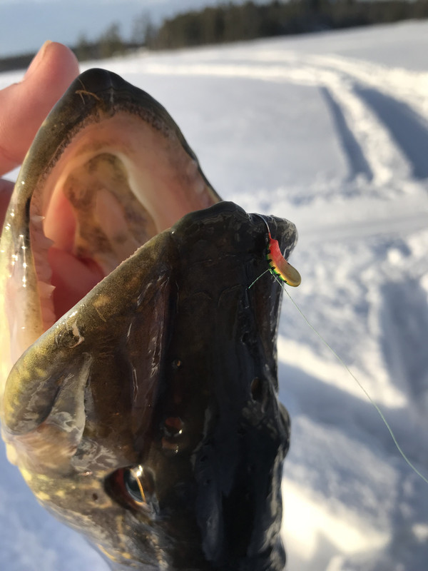 D36FF53E-4AF3-4946-8EAC-B61CFA994DEC