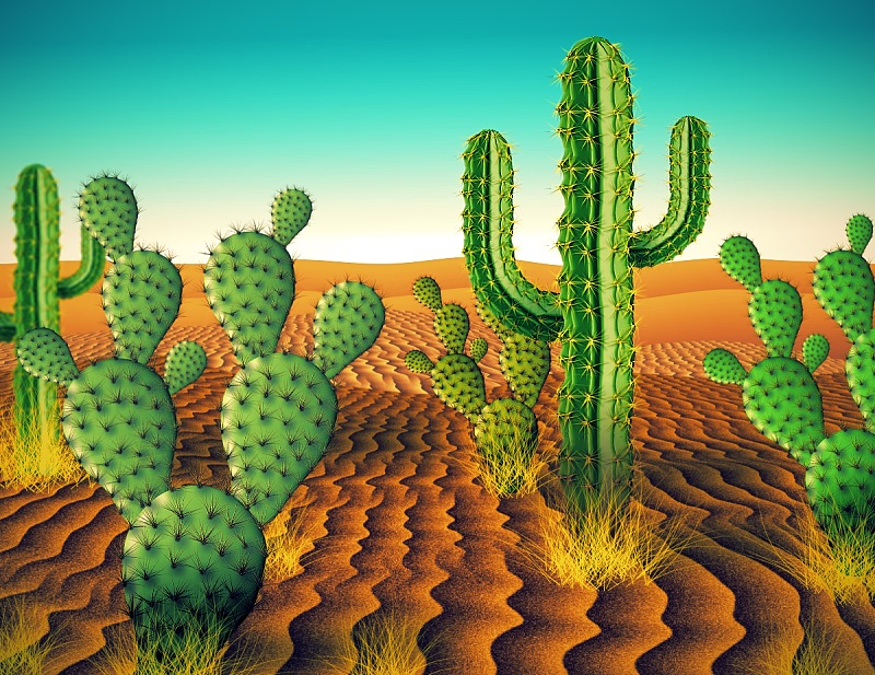 cactus-furblur.jpg