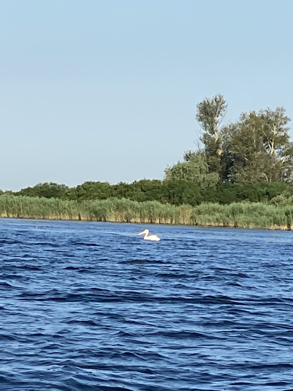 915410AE-E2A9-46EF-A23F-F9B5D805E434