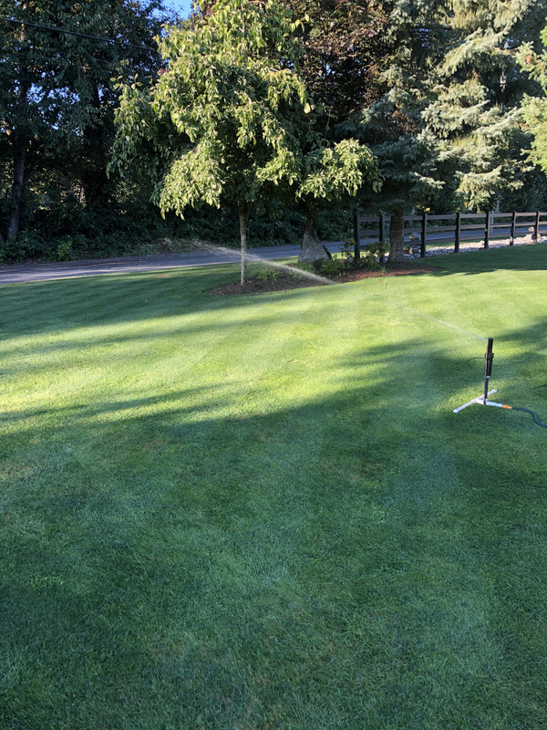 31BB5D6C-13DF-477D-B548-1B0675D560C7