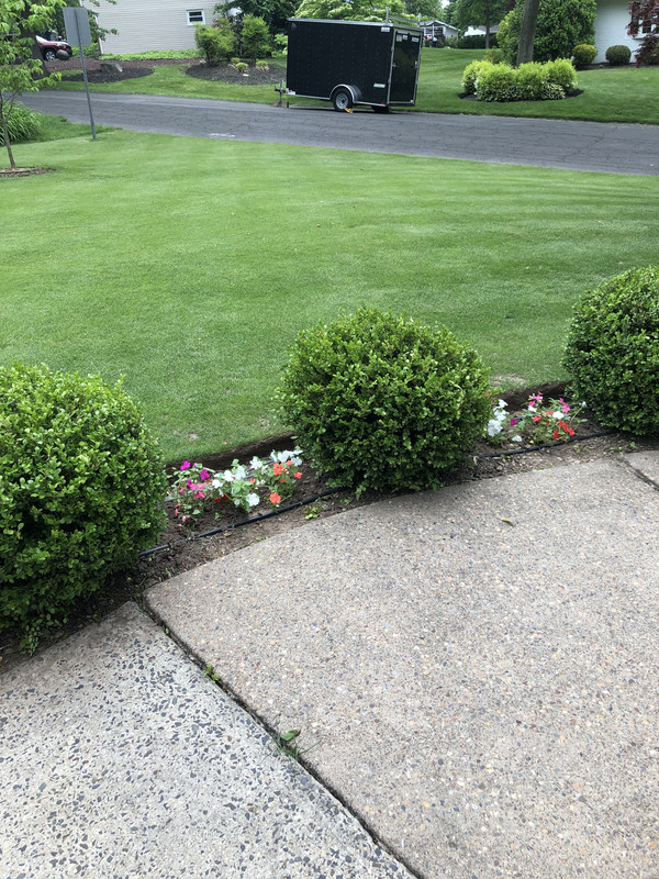 83E5B410-C824-4433-8A46-FB01B1A9F1C0