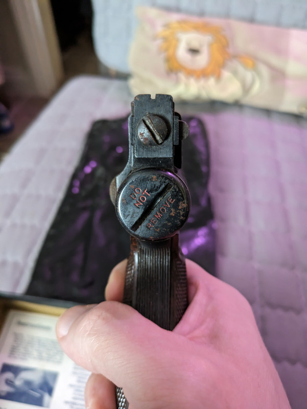 PXL_20230819_073730963.MP