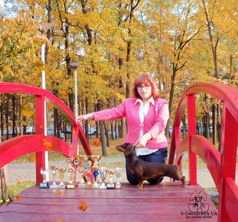 photo_2020-02-03_11-59-27