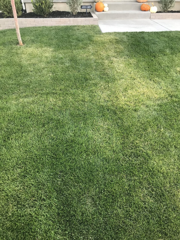 6A6B7D87-4BFE-40F1-9A53-516AD9DE1F4B