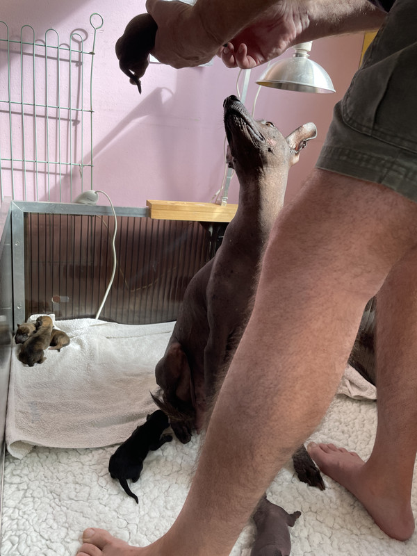 6F46677B-00AD-400D-9457-1E1A1A4D2AD9