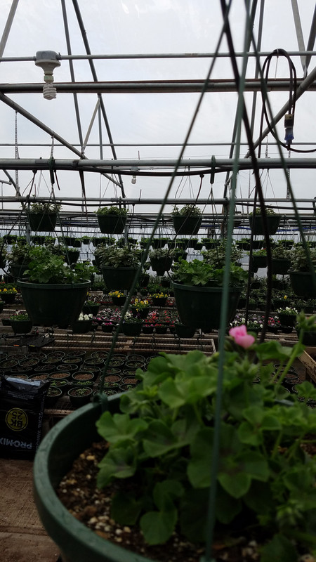 20190403_135704