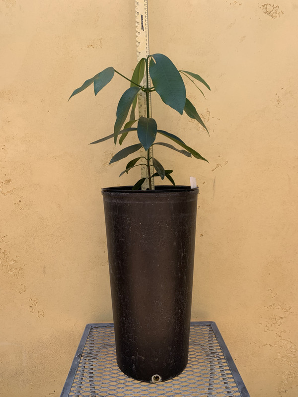 E54C9120-7B1F-4E48-88EE-D06A74CC4916