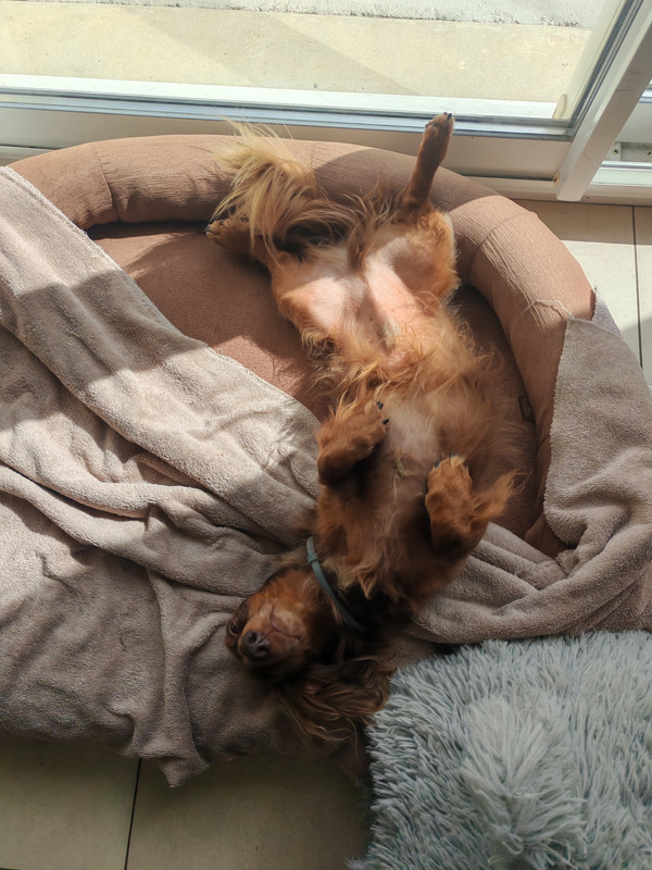 [Image: IMG-20250925-140339.jpg]