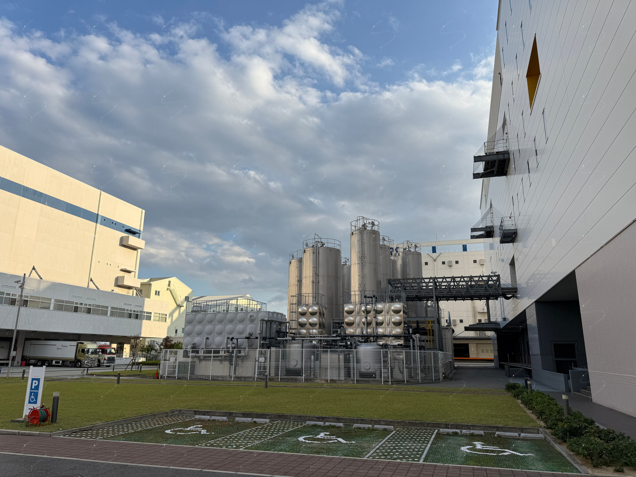 2025 10 27 14 49 IMG 8211