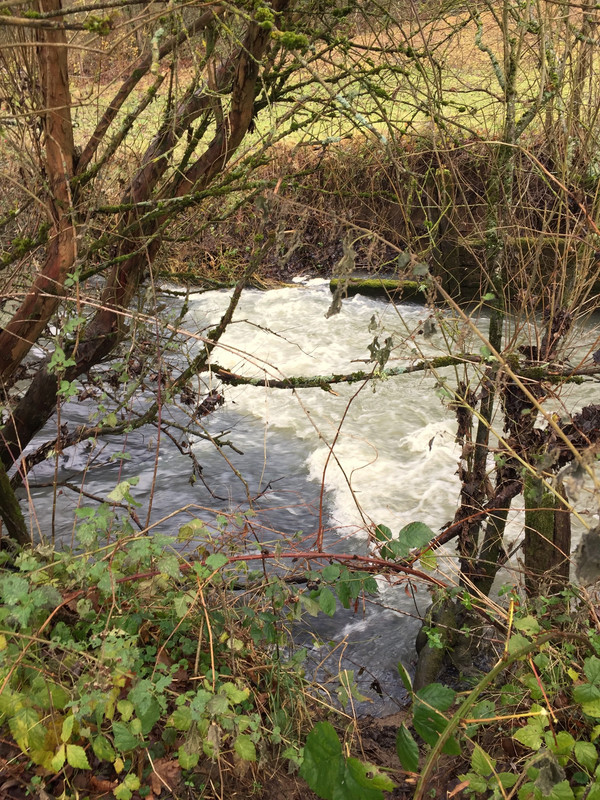 55F823A7-128C-448E-9D14-BB7272285A27