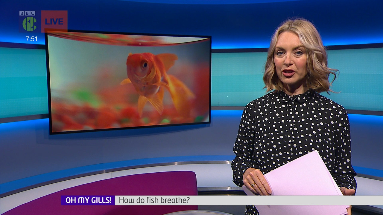 Newsround_20220512_07450800.ts_snapshot_07.25.767