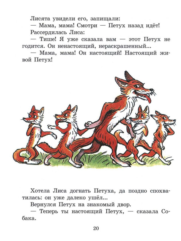 Sutejev-Vladimir-Petuh-i-Kraski-20